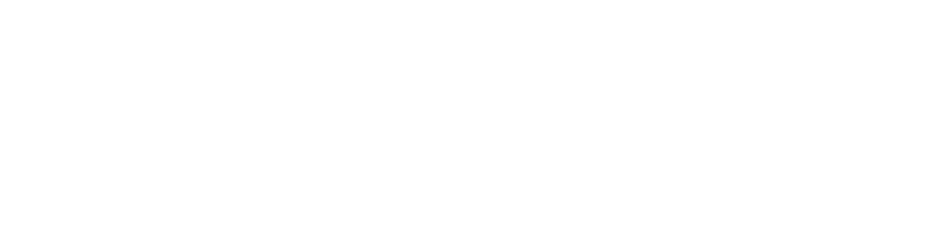 Zynap logo
